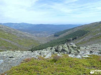 Pico Ocejón[Ruta Clásica]-Sierra de Ayllón;rutas por los arribes del duero senderismo sierra de cazo